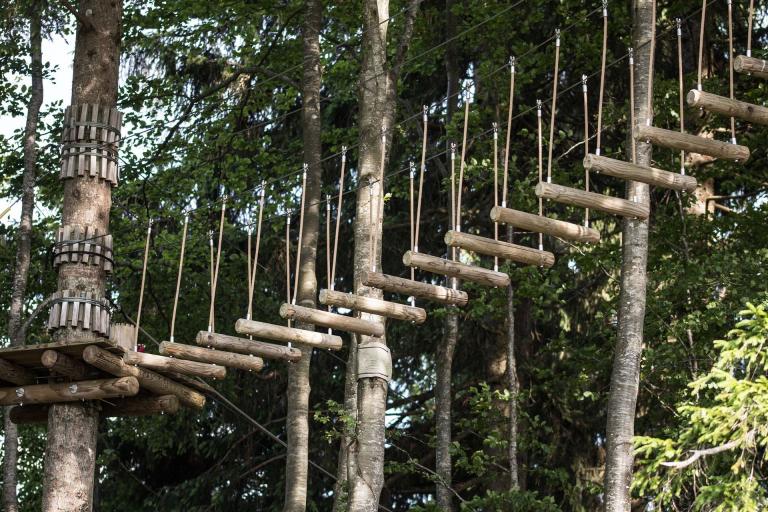 Sausen Sie von Baum zu Baum und betretet wacklige Brücken in einer der vielen Kletterwälder Deutschlands